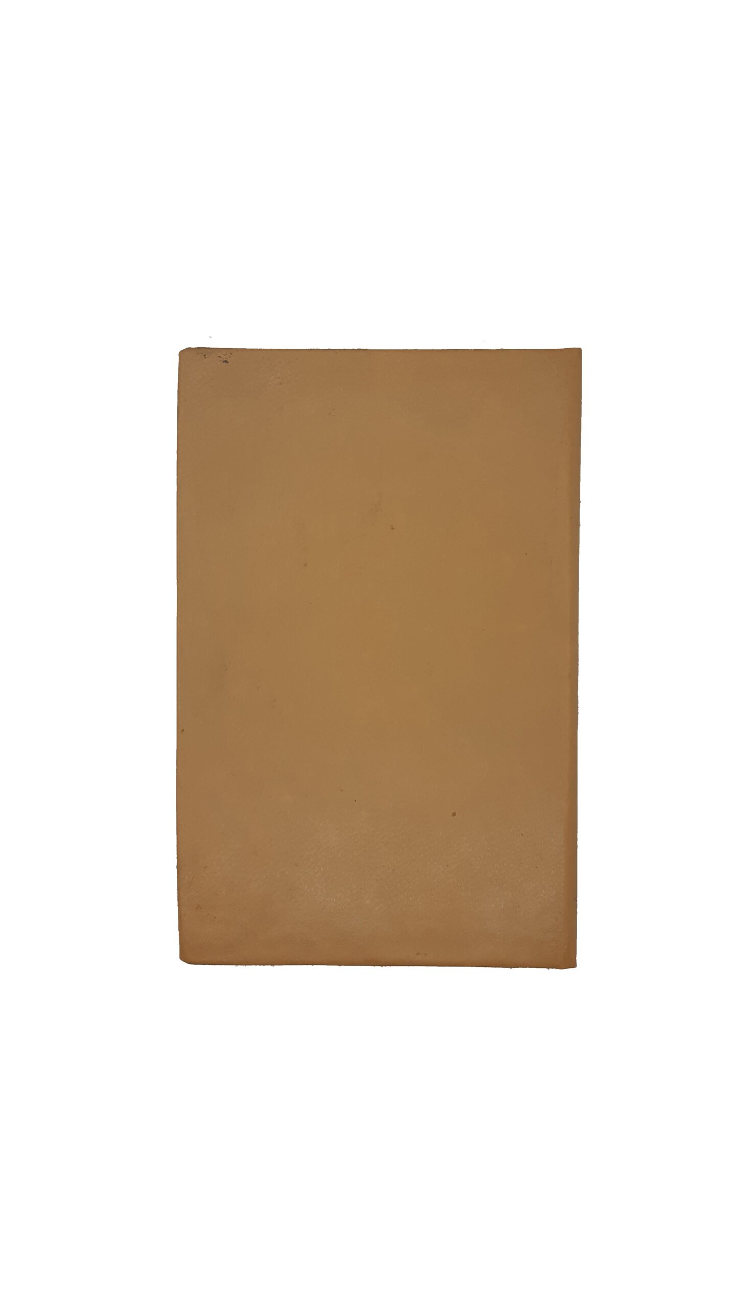 ЗЕМСКИЙ СБОРНИК ЧЕРНИГОВСКОЙ ГУБЕРНИИ. 1903.Февраль.