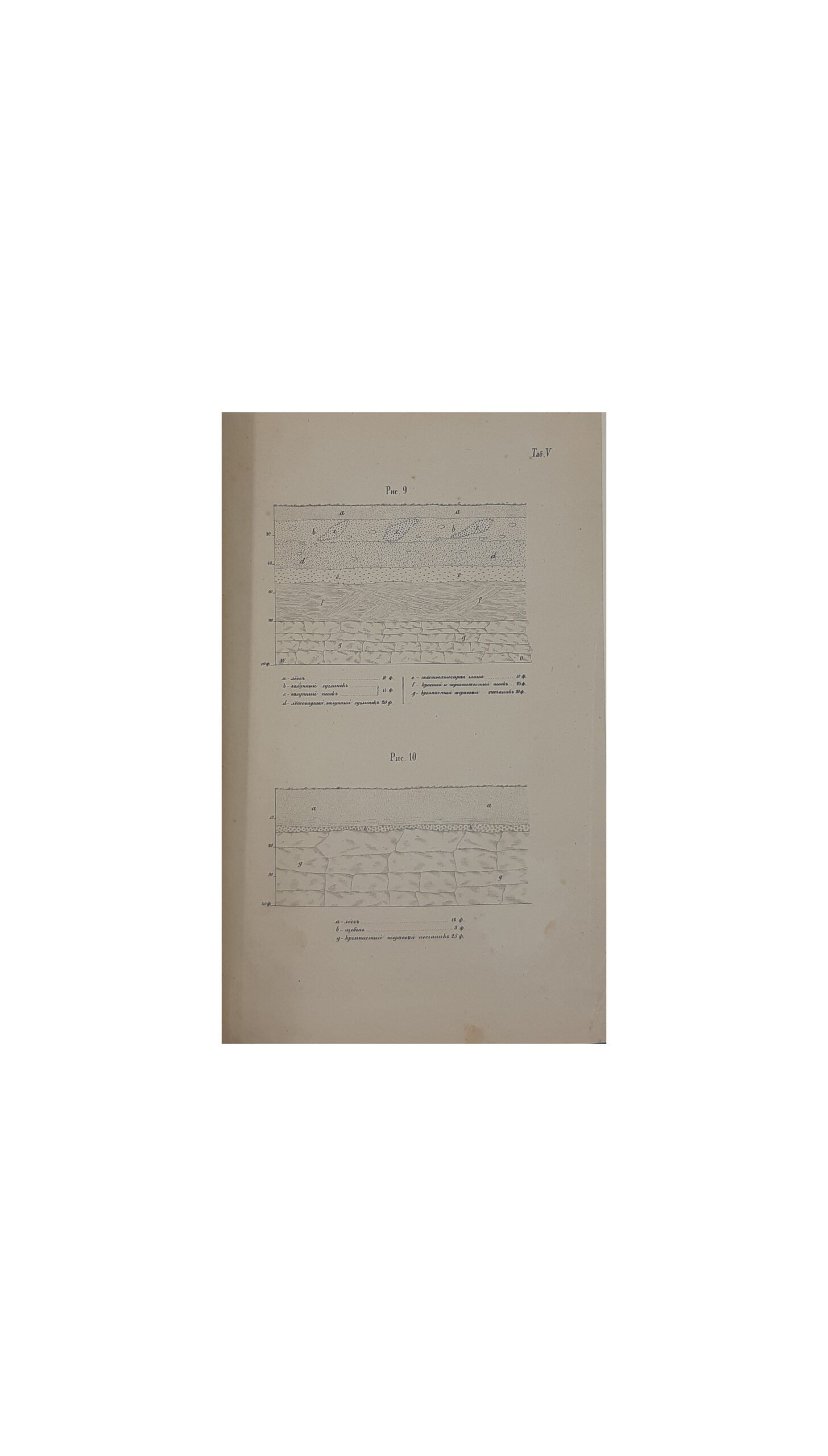 Геологический очерк Черниговской губернии. П. Армашевского.,Киев,Типо-Литогрфия И.Н.Кушнерева и К* — 1883 год.