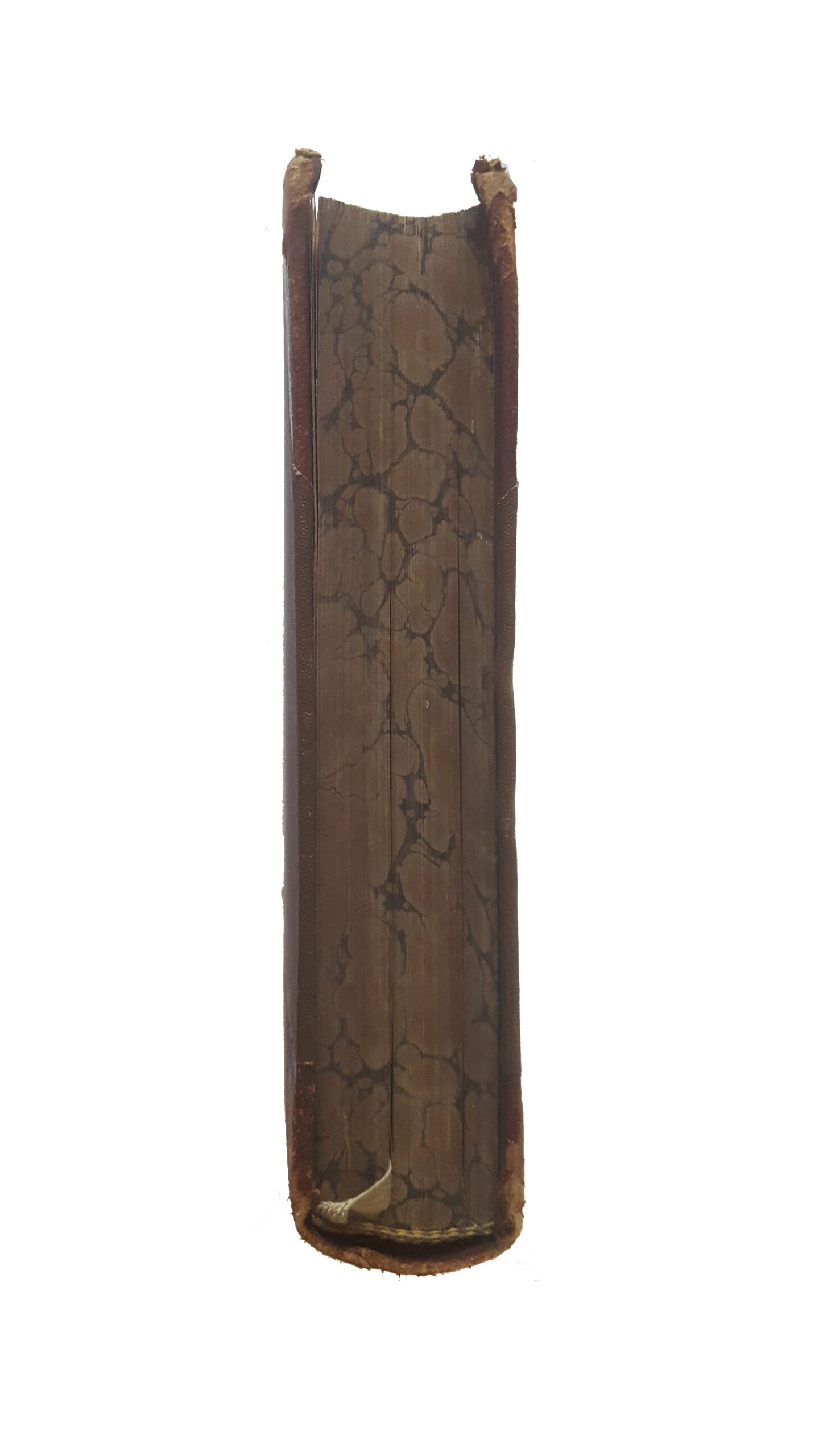 Шурц, Генрих. История первобытной культуры