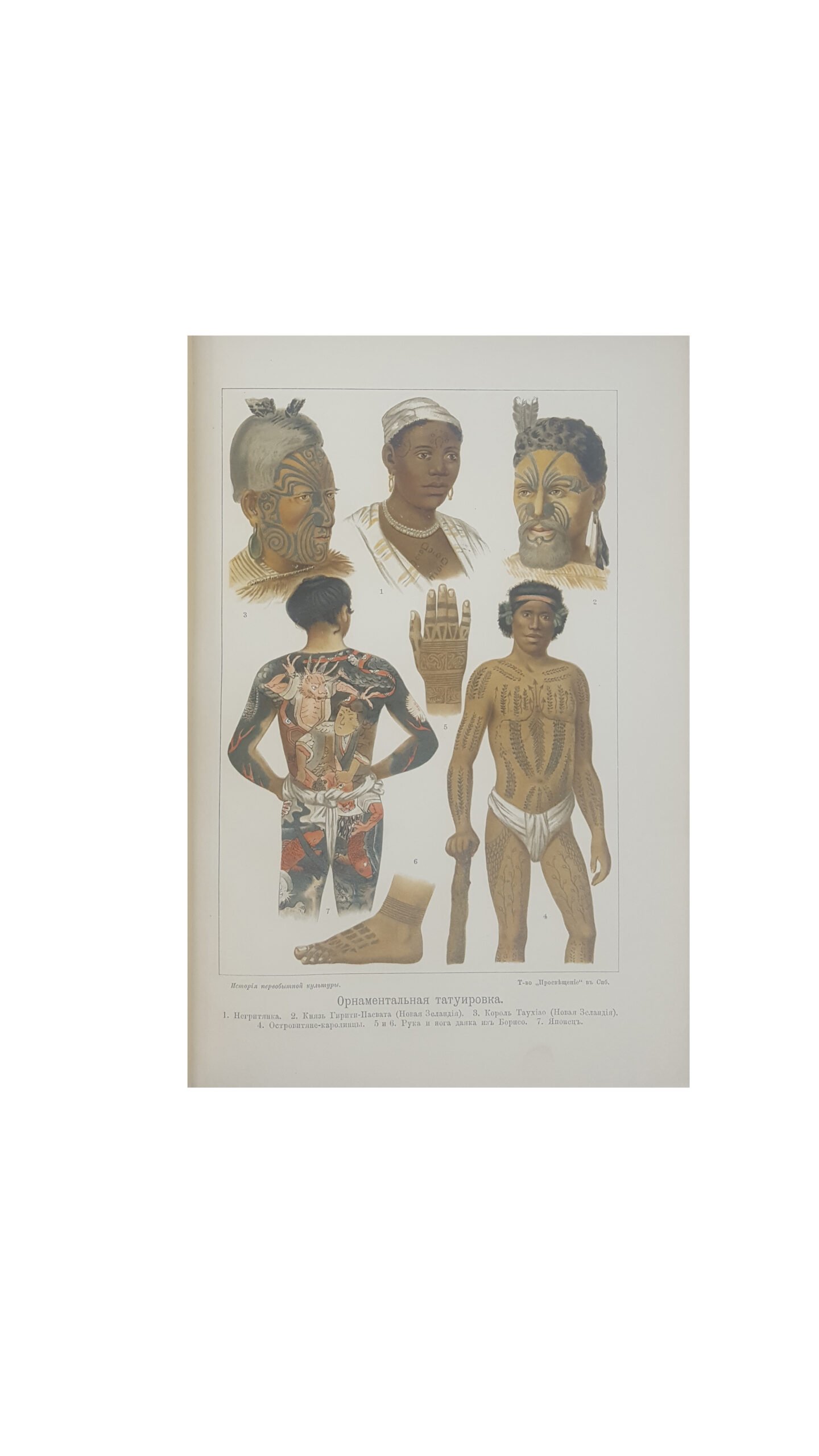 Шурц, Генрих. История первобытной культуры