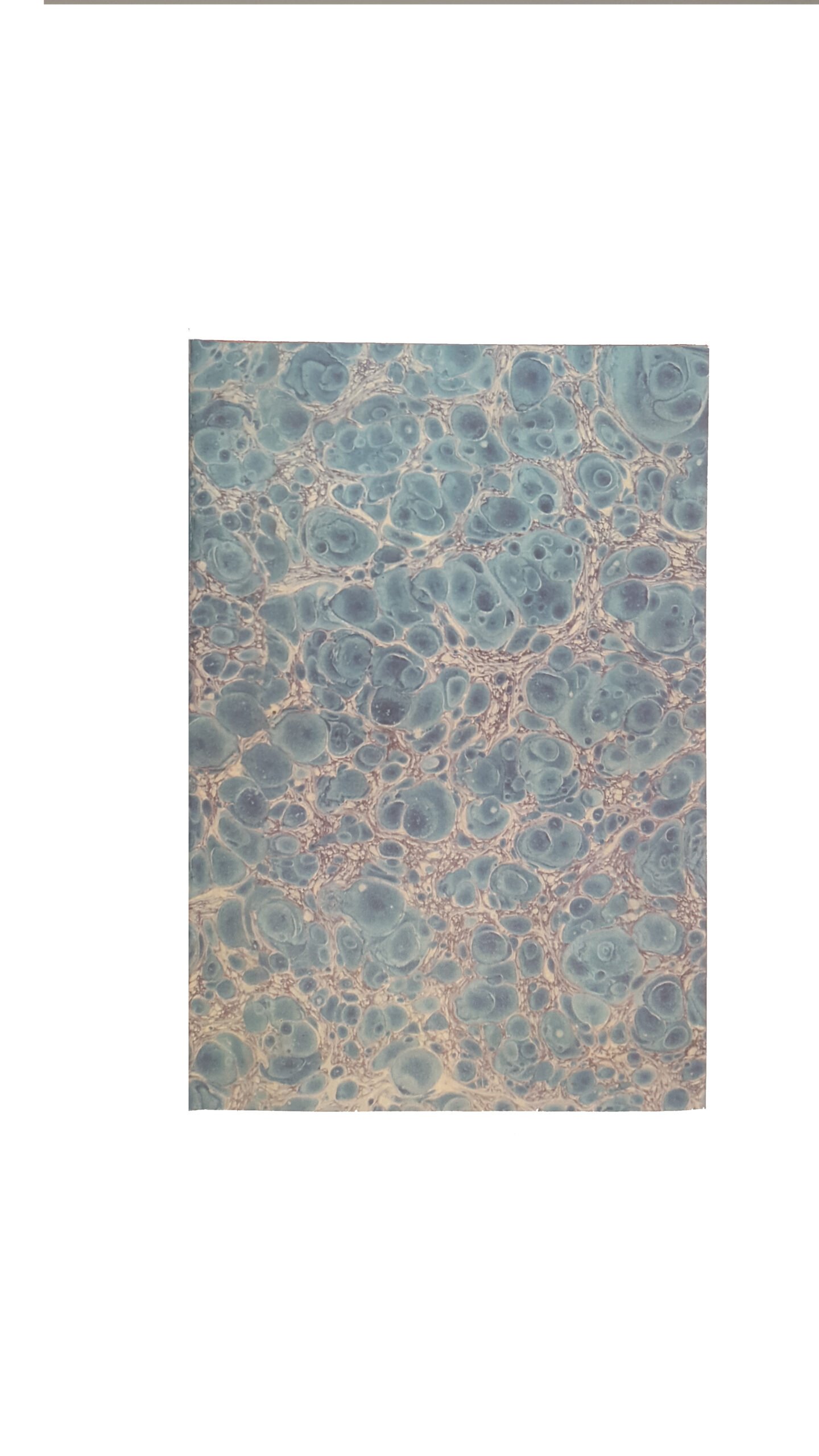 АКОРДИ : антологія української лірики від смерті Шевченка / уложив І. Я. Франко ; з іл. Ю. Панькевича. – Львів: Накладом Укр.-рус. Вид. Спілки, 1903.  ( ФКОРДЫ : антология украинской лирики от смерти Шевченка).