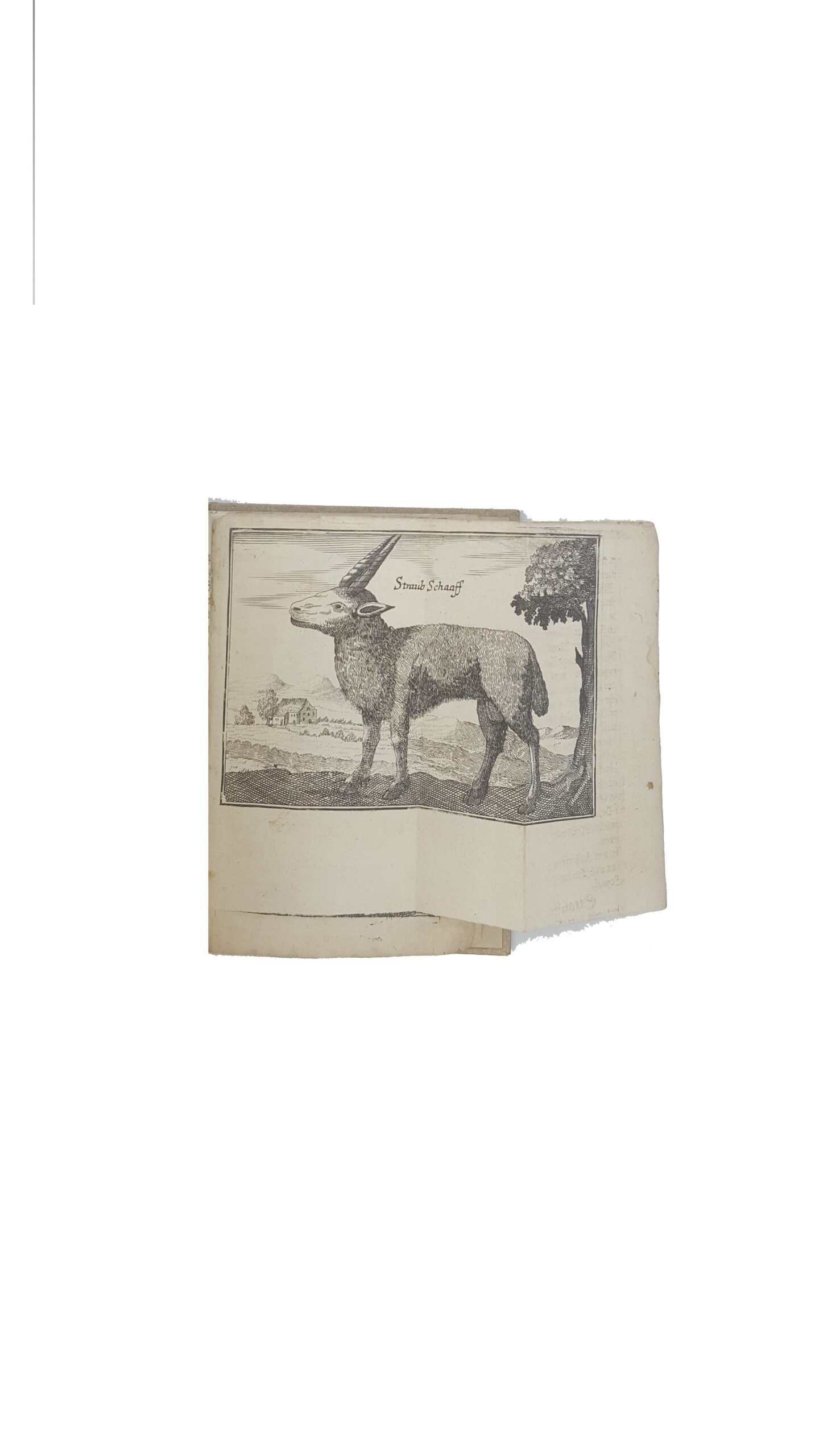 Moscovitische Land—Zeit–Staats und Kirchenbeschreibung. Nurnberg, 1687.