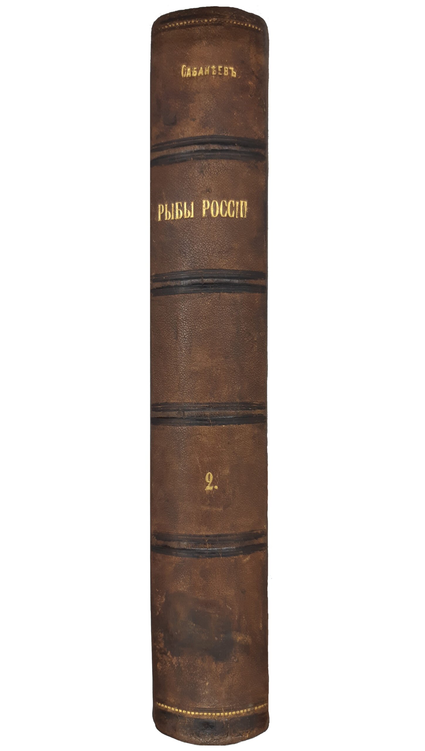 Сабанеев Л . П . Рыбы России. Жизнь и ловля (уженье) наших пресноводных рыб. 2-е изд. Т. 1-2. Изд. А.А. Карцева, Москва 1892