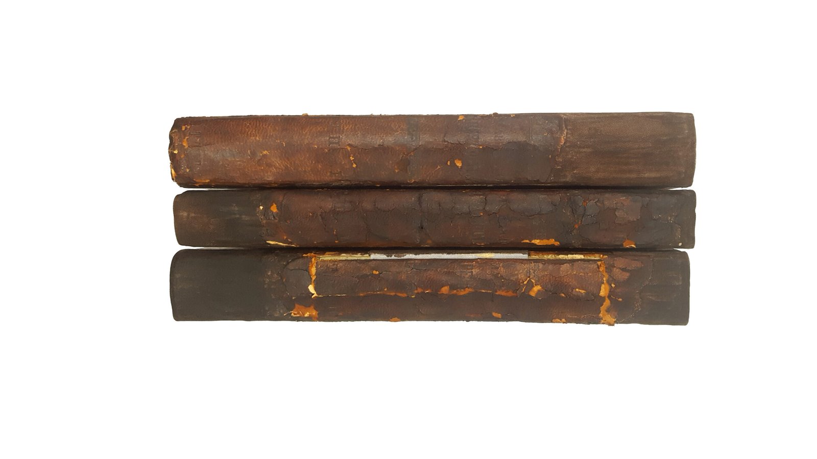 Славянские древности : Часть историческая / Соч. П.И. Шафарика ,пер. с чеш. [и предисл.] О. Бодянского. — 2-е изд., испр. Т. 1. Кн. -2. -Москва : Унив. тип., 1848.