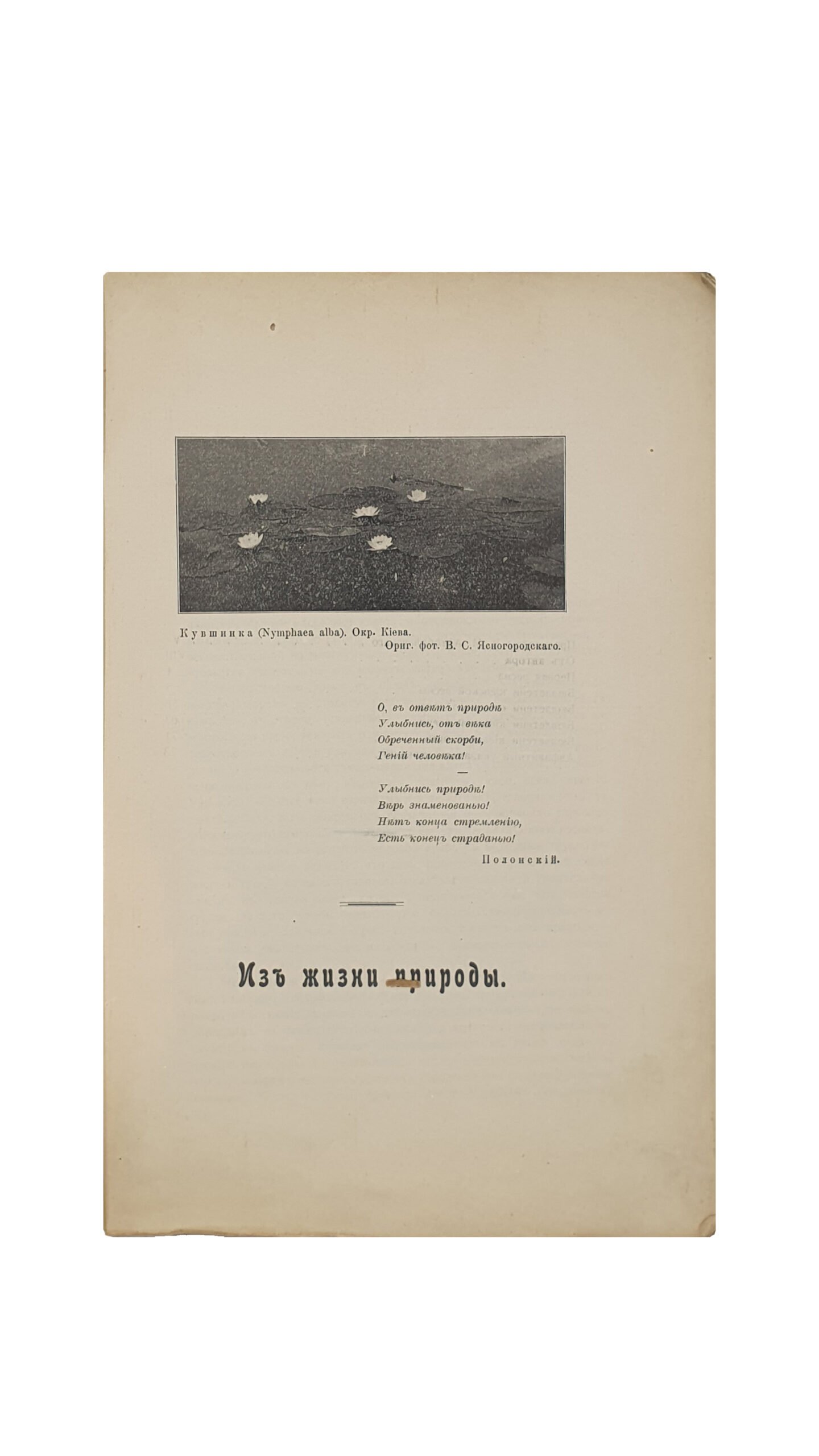 Шарлеман Э. Из жизни природы. С предисловием В.М. Артоболевского.  Издание Киевское Орнитологического общества имени К.Ф. Кесслера. КИЕВ.  Типография А.И. Гросман, 1915 год.