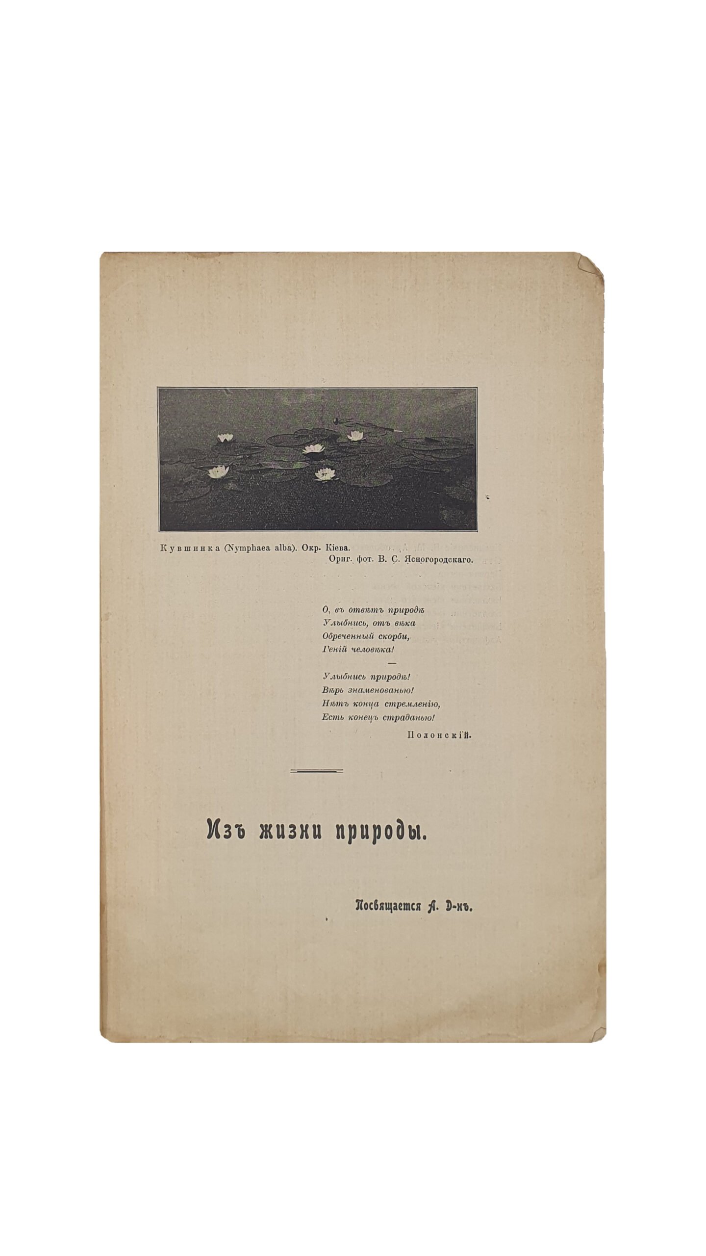 Шарлеман Э. Из жизни природы. С предисловием В.М. Артоболевского.  Издание Киевское Орнитологического общества имени К.Ф. Кесслера. КИЕВ.  Типография А.И. Гросман, 1915 год