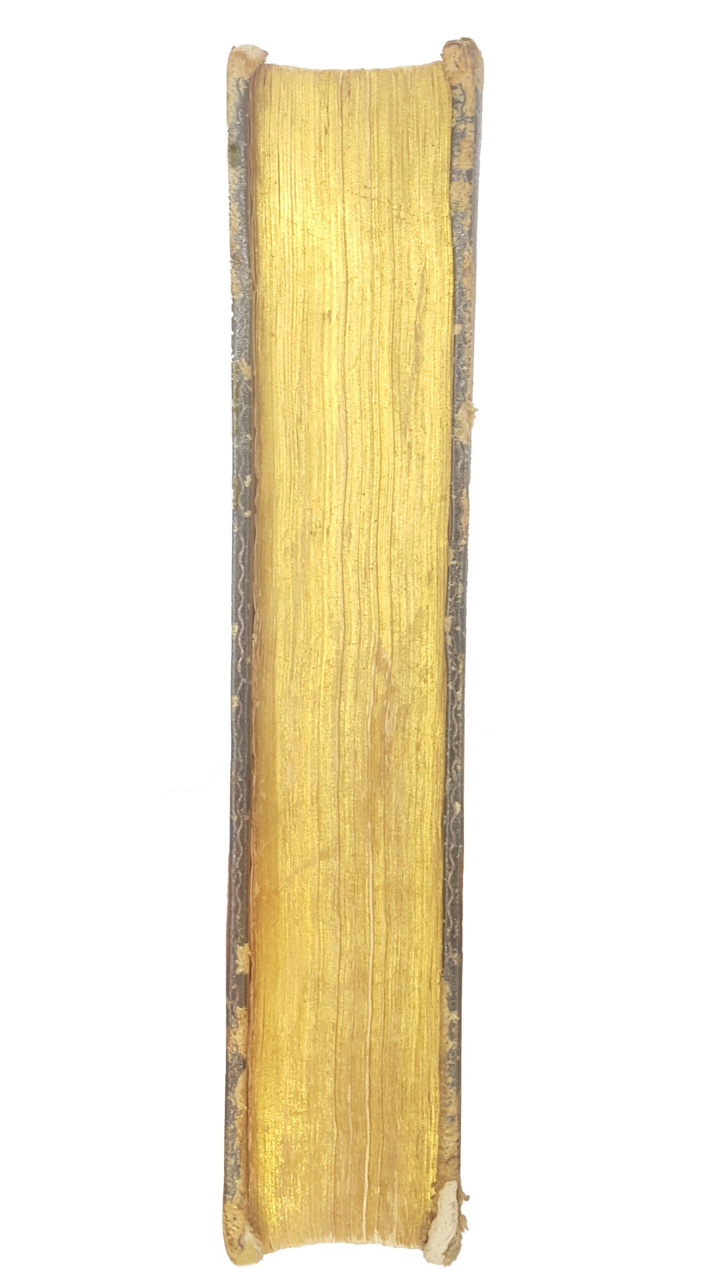 Максимович М. А. Собрание сочинений :  Т1, 1876