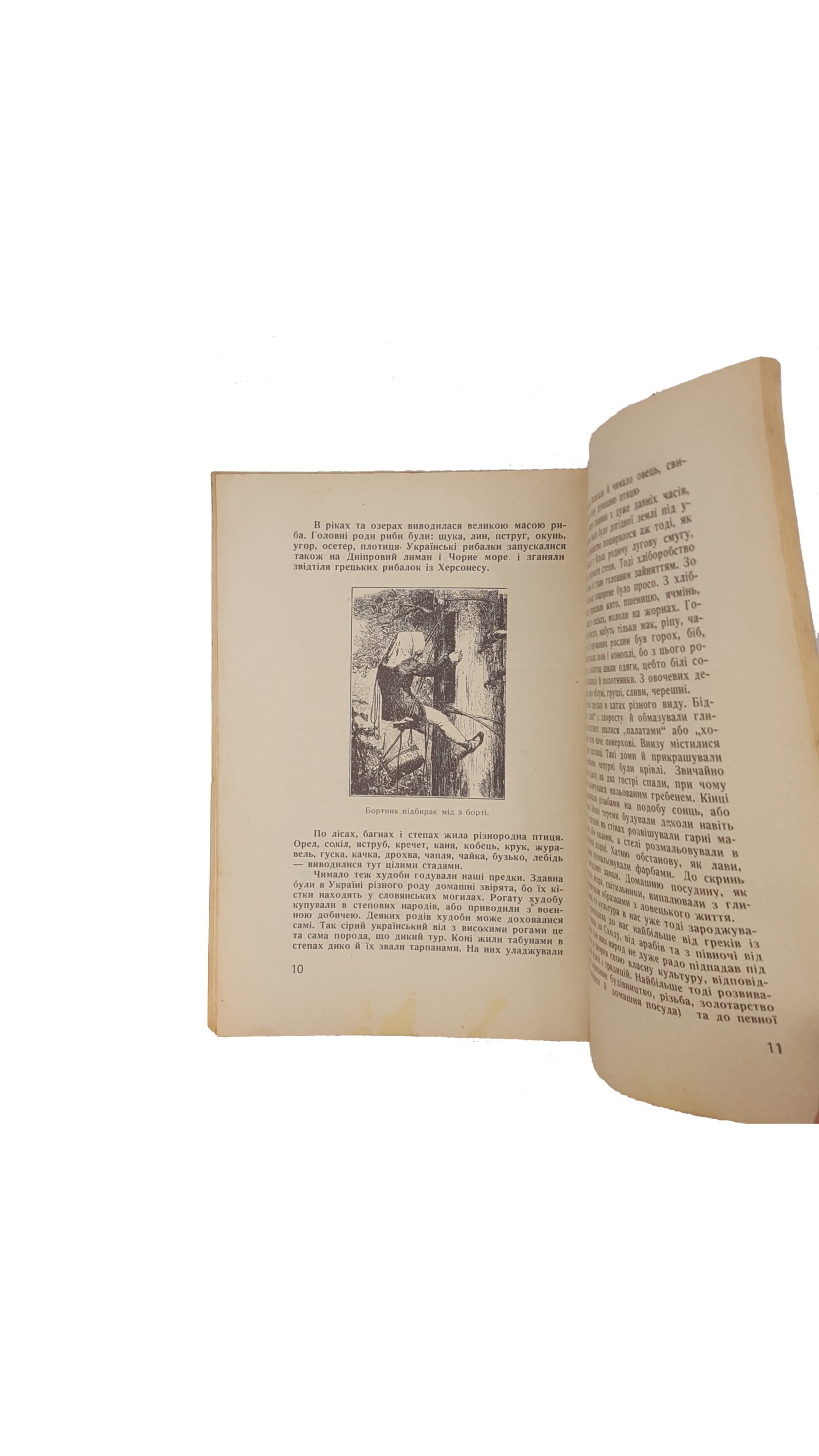 Горицвіт О. Світло з неба в Україні .Пам»ятка 950-ліття Хрещення Руси-України.Львів 1938 накладом ділового комітету свята христіянської україни