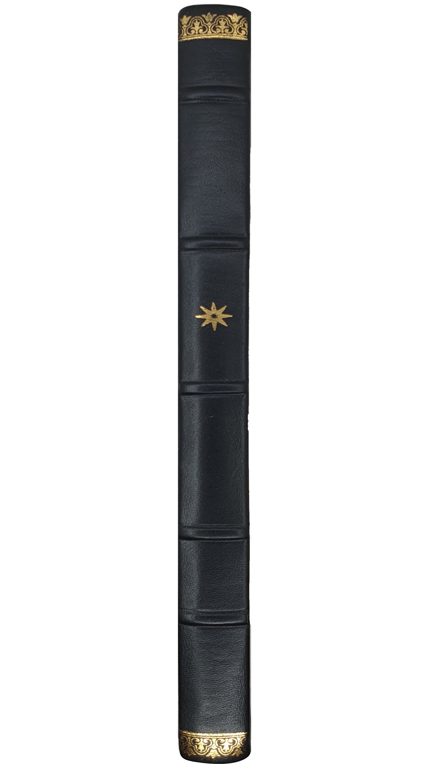 ОТЧЁТ Черниговской Губернской Земской Управы за 1903 год.  ЧЕРНИГОВ. Типография Губернского Земства. 1904.