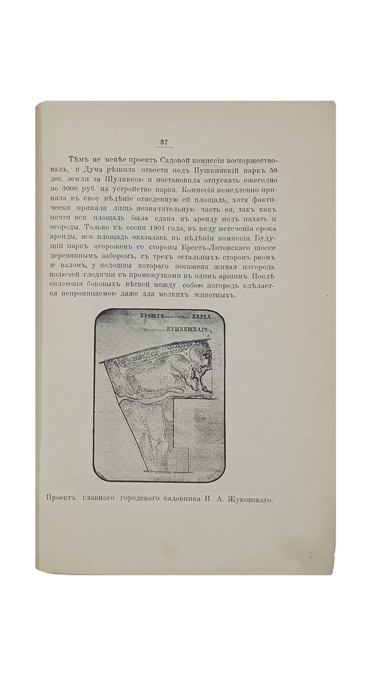 Ромишовский С. В.  Общественные сады г. Киева в период с 1897-го по 1902-й год. Резюмированный отчёт о деятельности садовой комиссии Киевской городской управы. Составил Председатель Киевской Городской Садовой Комиссии С.В. Ромишовский.  КИЕВ. Типография К.Н. Милевского. 1902.