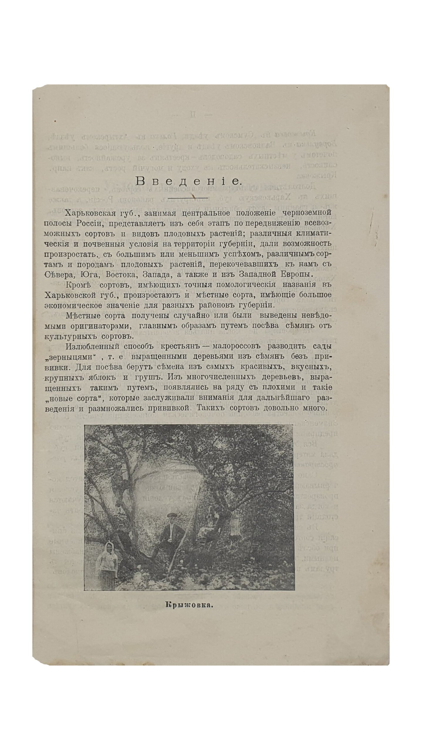 Рябой Д.Д.  Сведения о сортах плодовых растений в Харьковской губернии.  (Харьковская Губернская Земская Управа. Экономический отдел).  Собрал специалист по садоводству Д.Д. Рябой.  ХАРЬКОВ.  Т-во «Печатня С.П. Яковлева».  1914.