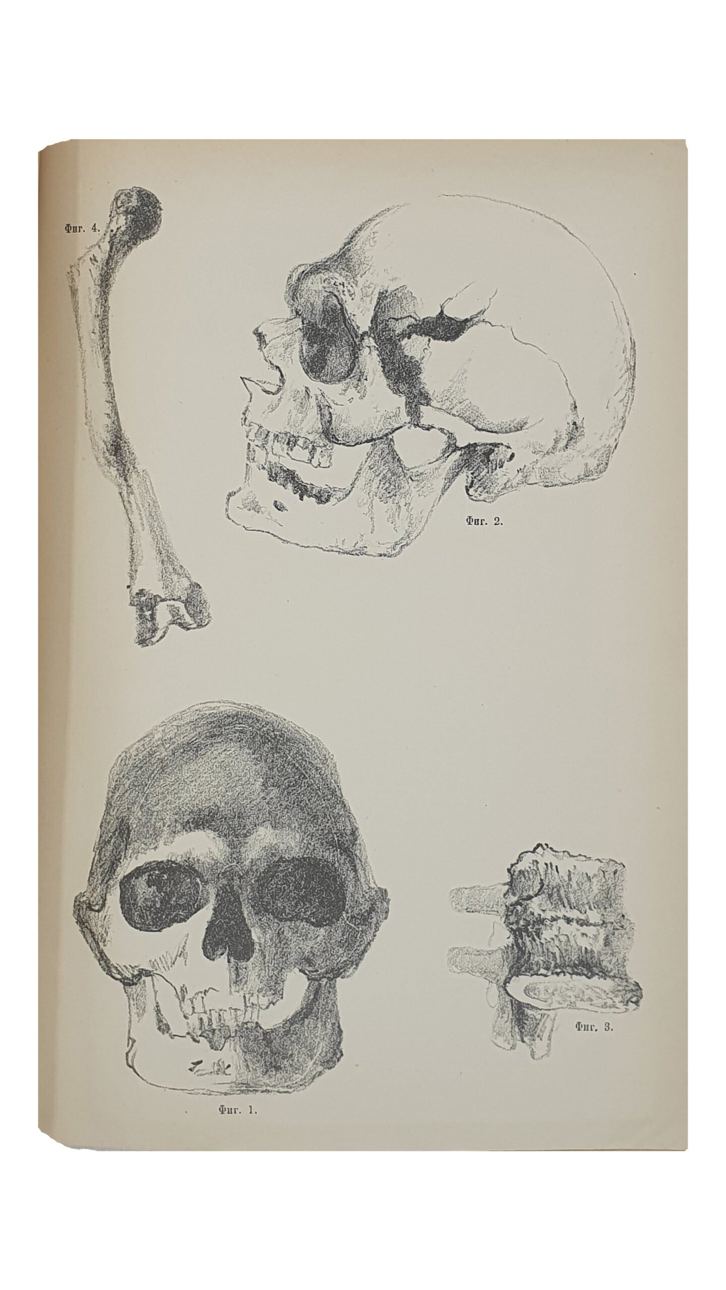 ТРУДЫ Харьковского Предворительного Комитета по устройству  XII Археологического Съезда.  ( Изданы под редакцией проф. Е.К. Редина ).  Том 1-й.  ХАРЬКОВ.  Типография и Литография  М. Зильберберг и С-вья.  1902.