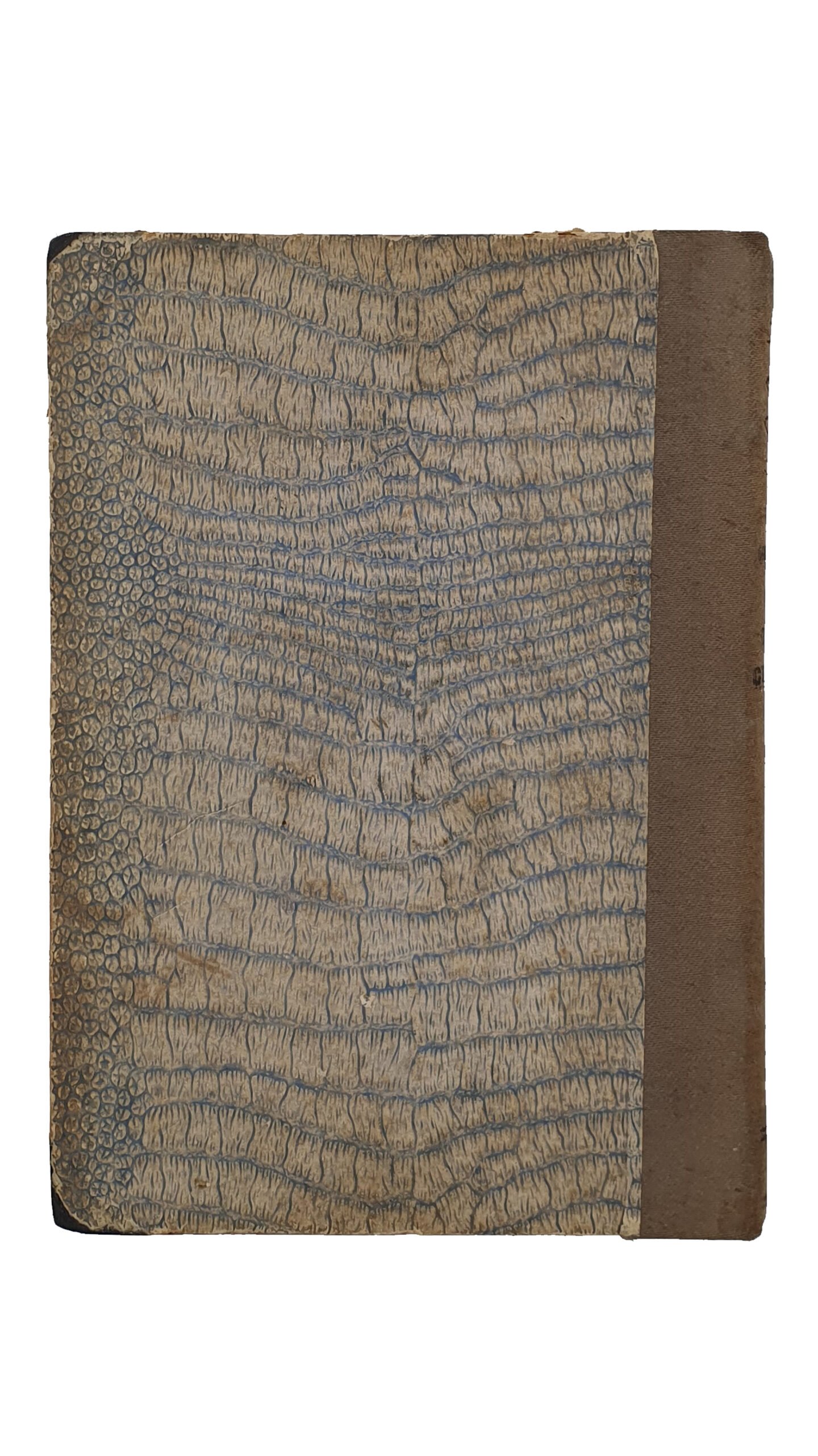 Нелидова Е.   РУСЬ В ЕЁ СТОЛИЦАХ.   Исторические очерки.  III.   КИЕВ. (c 24 рисунками ).  ПЕТРОГРАД.  Типография  Товарищества А.С. Суворина — «Новое Время».  1915.