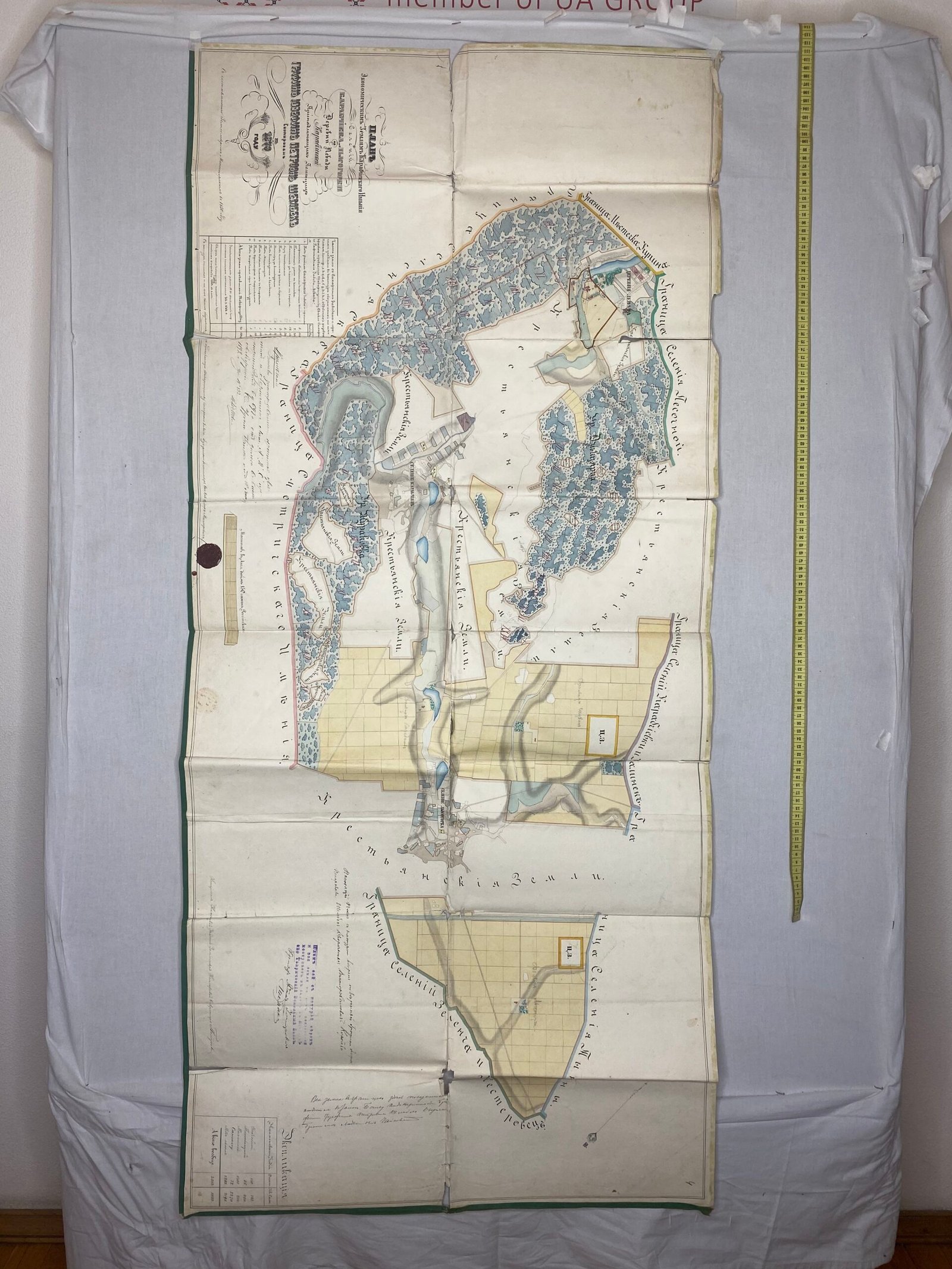 План экономическим землям Карабчиевского имения графини Шембек.  1874    Украина, Житомирская обл.1876 г.