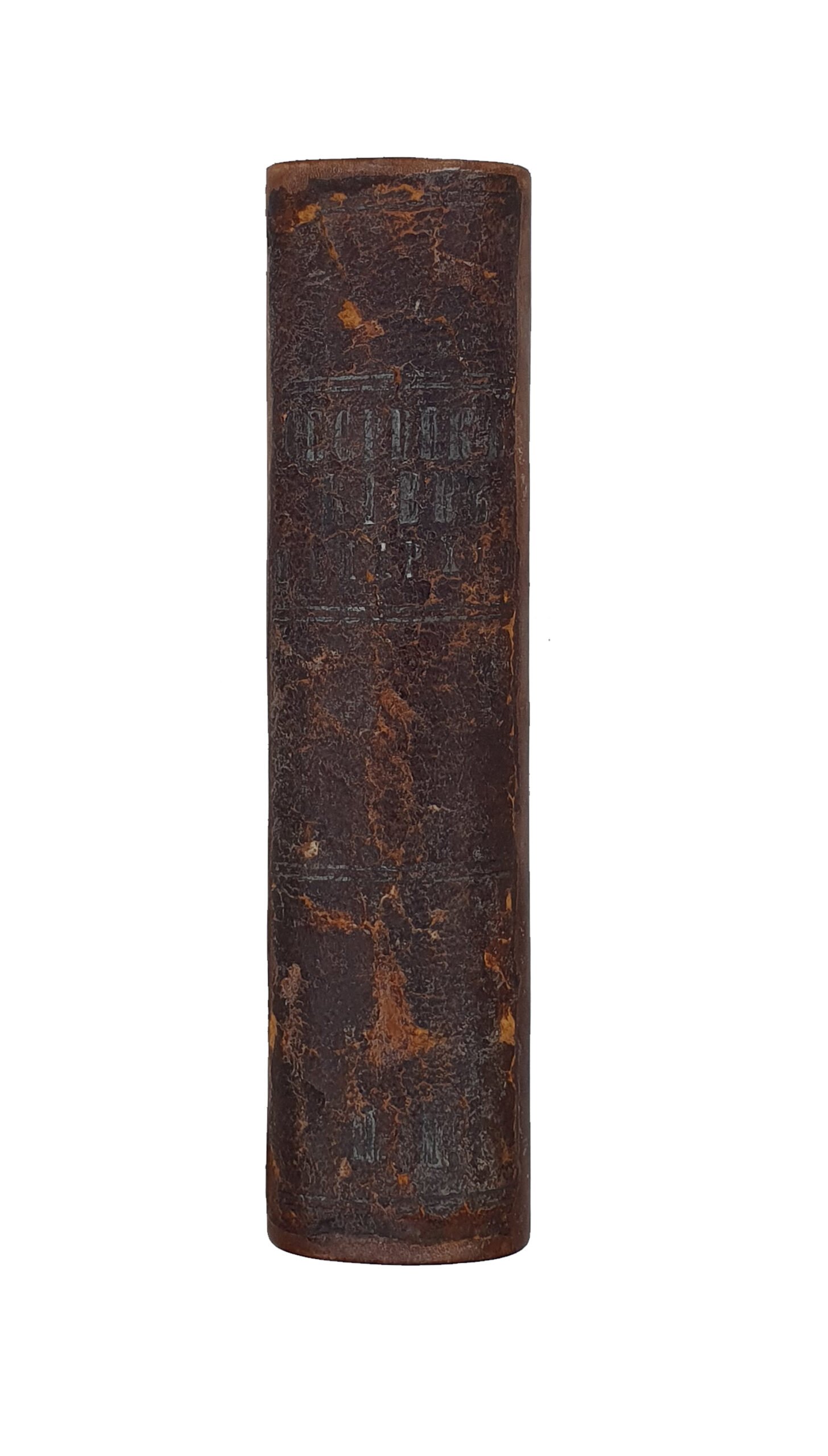 КОНВОЛЮТ 5 книг.  Статистические и санитарные очерки Киева.    ПАМЯТНАЯ КНИЖКА Киевской Епархии.     Каталог выставки копий с памятников искусства в Киеве X , XI и XII в.    РОГНЕДА и судьба её потомков в городе Изяслове.     Сближение исторических показаний с народной легендой о древнем Торческе.