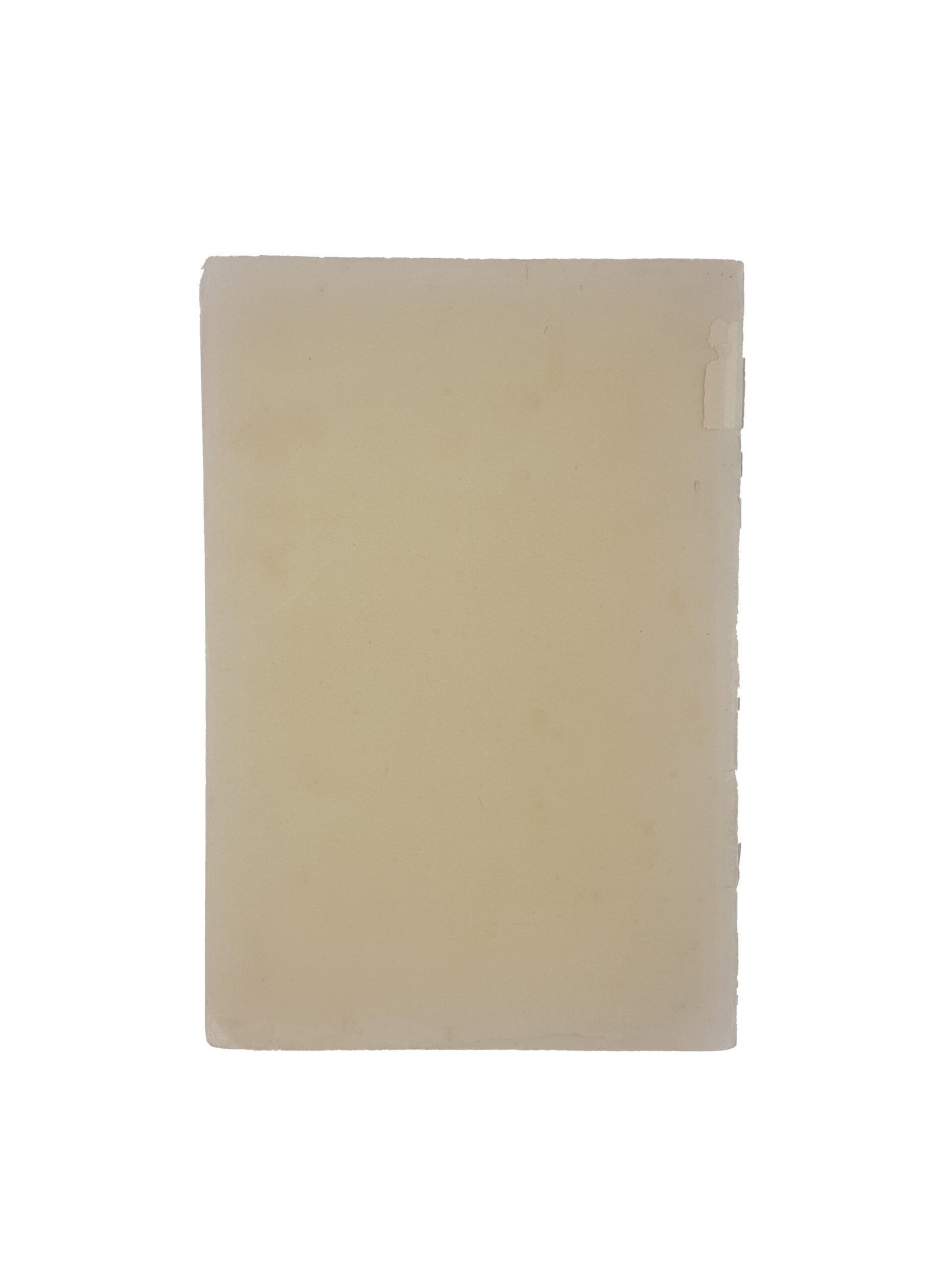 Н.Н.Петров . Об упраздненной стенописи великой церкви Киево-Печерской Лавры . КИЕВ 1900 .